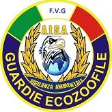 Aisa medio friuli